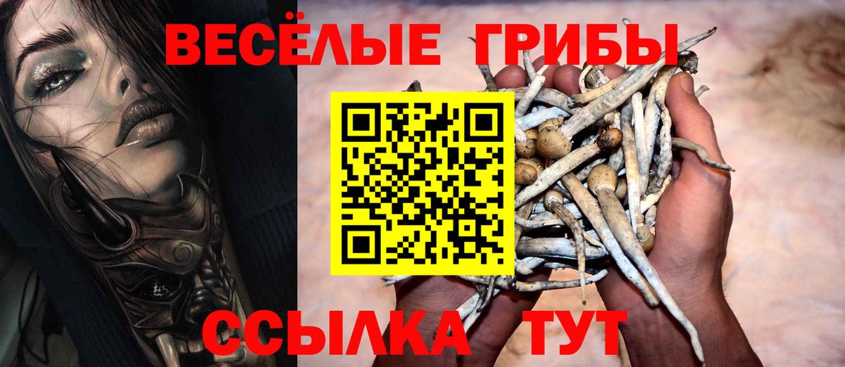 Петрозаводск  Галлюциногенные грибы Psilocybe  Вход с VPN 